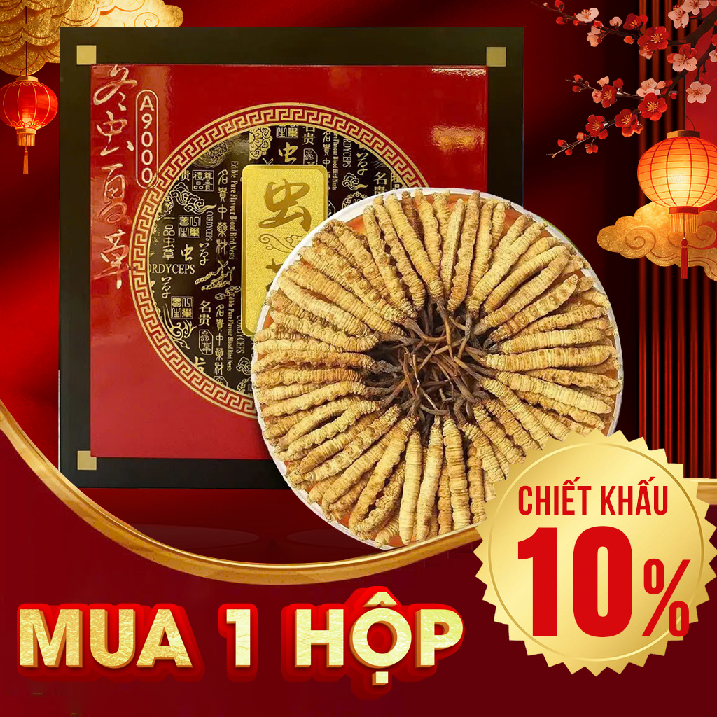 Đông Trùng Hạ Thảo Nguyên Con VIP1 Hộp 50g – Size 300 Con/ Lạng