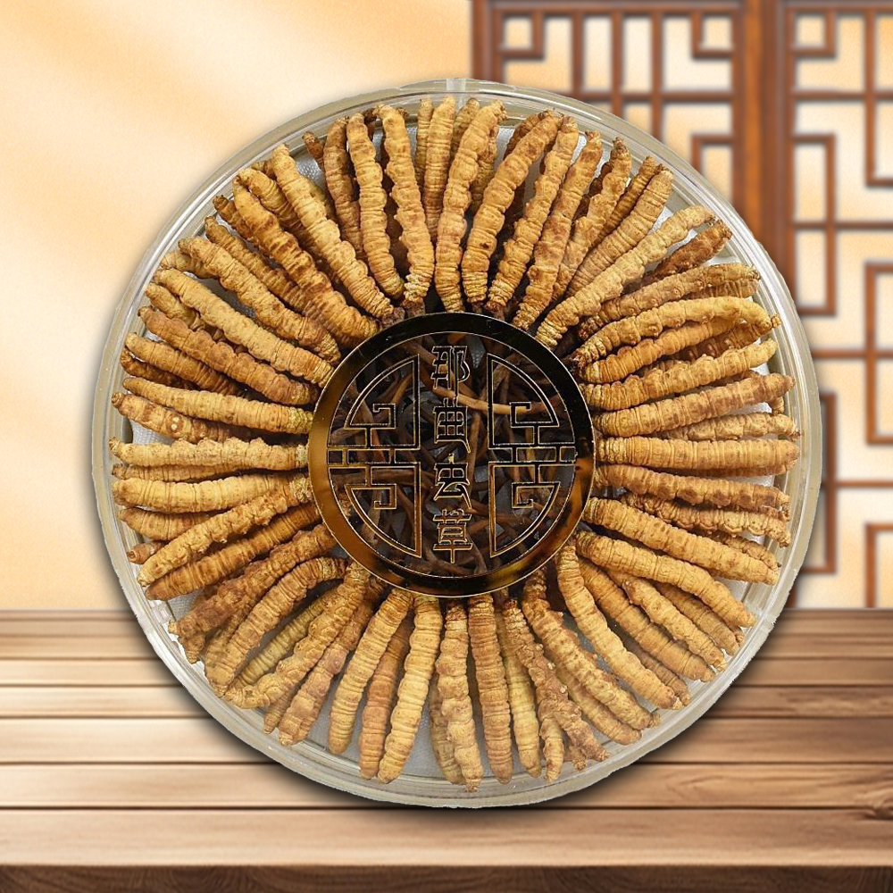 Đông Trùng Hạ Thảo Nguyên Con Loại 1 Hộp 100 GR – D400-100L1