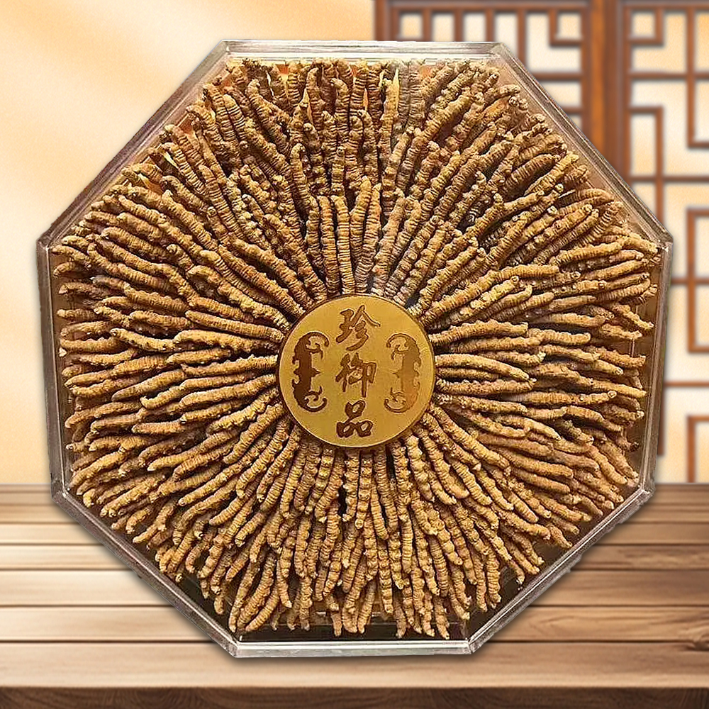 Đông Trùng Hạ Thảo Nguyên Con Tây Tạng Loại 1.500 Con 1 Kg D199