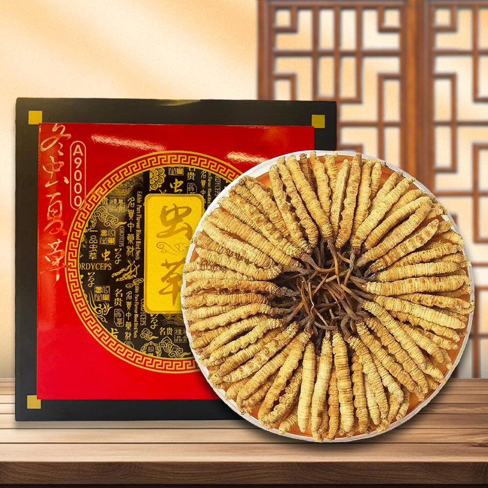 Đông Trùng Hạ Thảo Nguyên Con VIP1(50g/hộp) D400-50V1