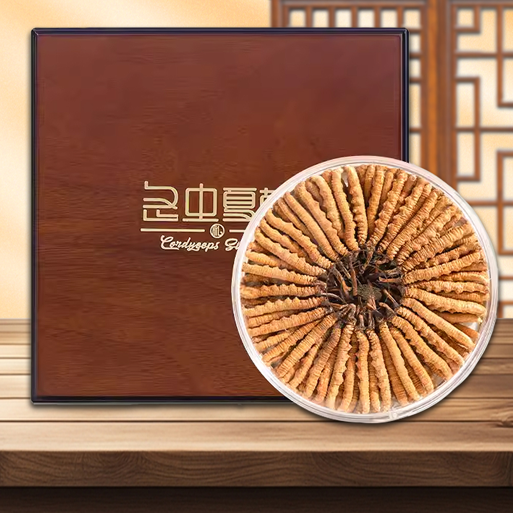 Đông Trùng Hạ Thảo Tây Tạng Nguyên Con Loại 1 50g/hộp D400-50L1