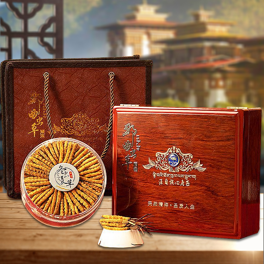 Đông Trùng Hạ Thảo BHUTAN Loại VIP1 Hộp 100g Size200