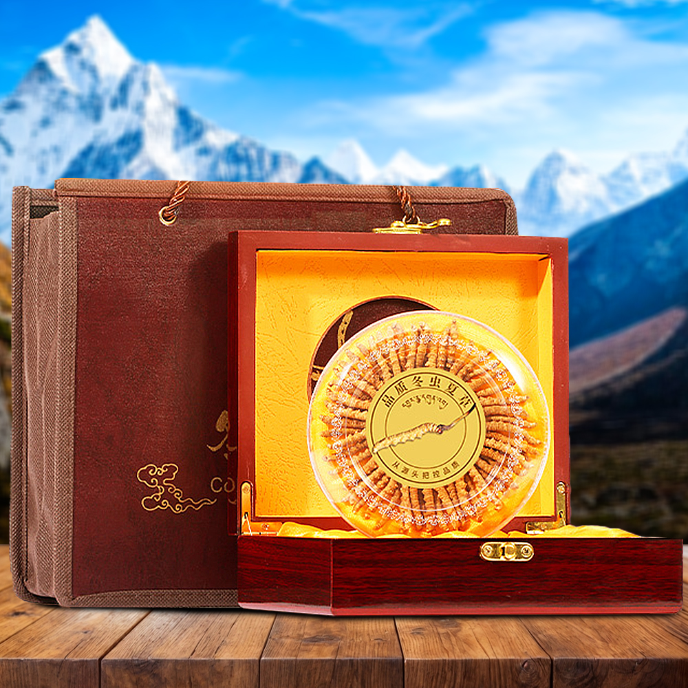 Đông Trùng Hạ Thảo Nepal Loại VIP1 Hộp 100g Size200