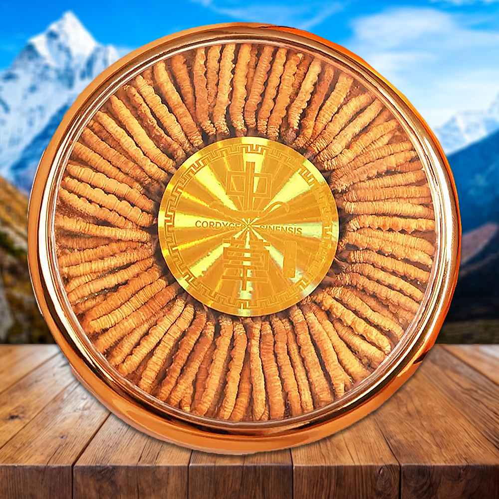 Đông Trùng Hạ Thảo Nepal Loại VIP1 Hộp 100g Size600