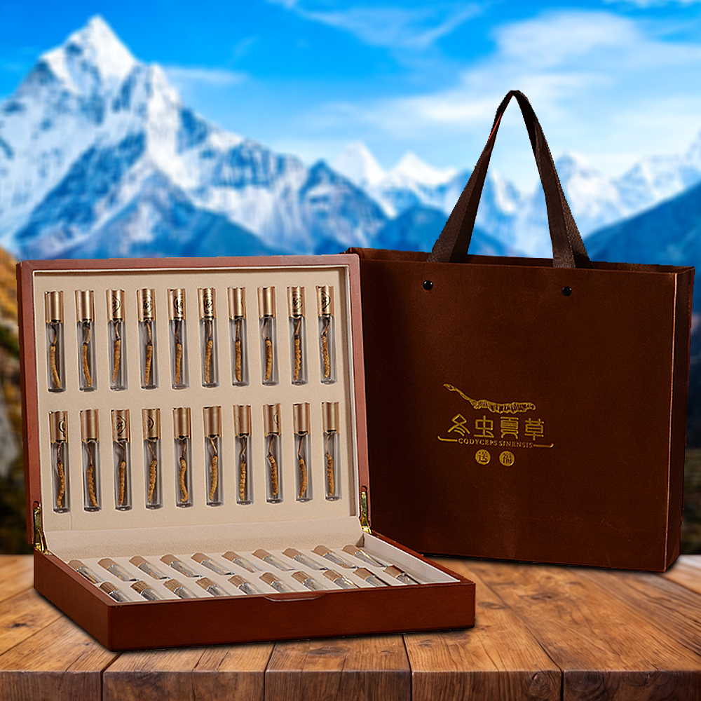 Đông Trùng Hạ Thảo Nepal Loại VIP1 Hộp 10g Size200