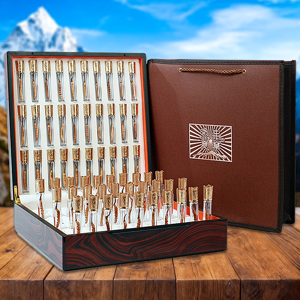 Đông Trùng Hạ Thảo Nepal Loại VIP1 Hộp 10g Size400