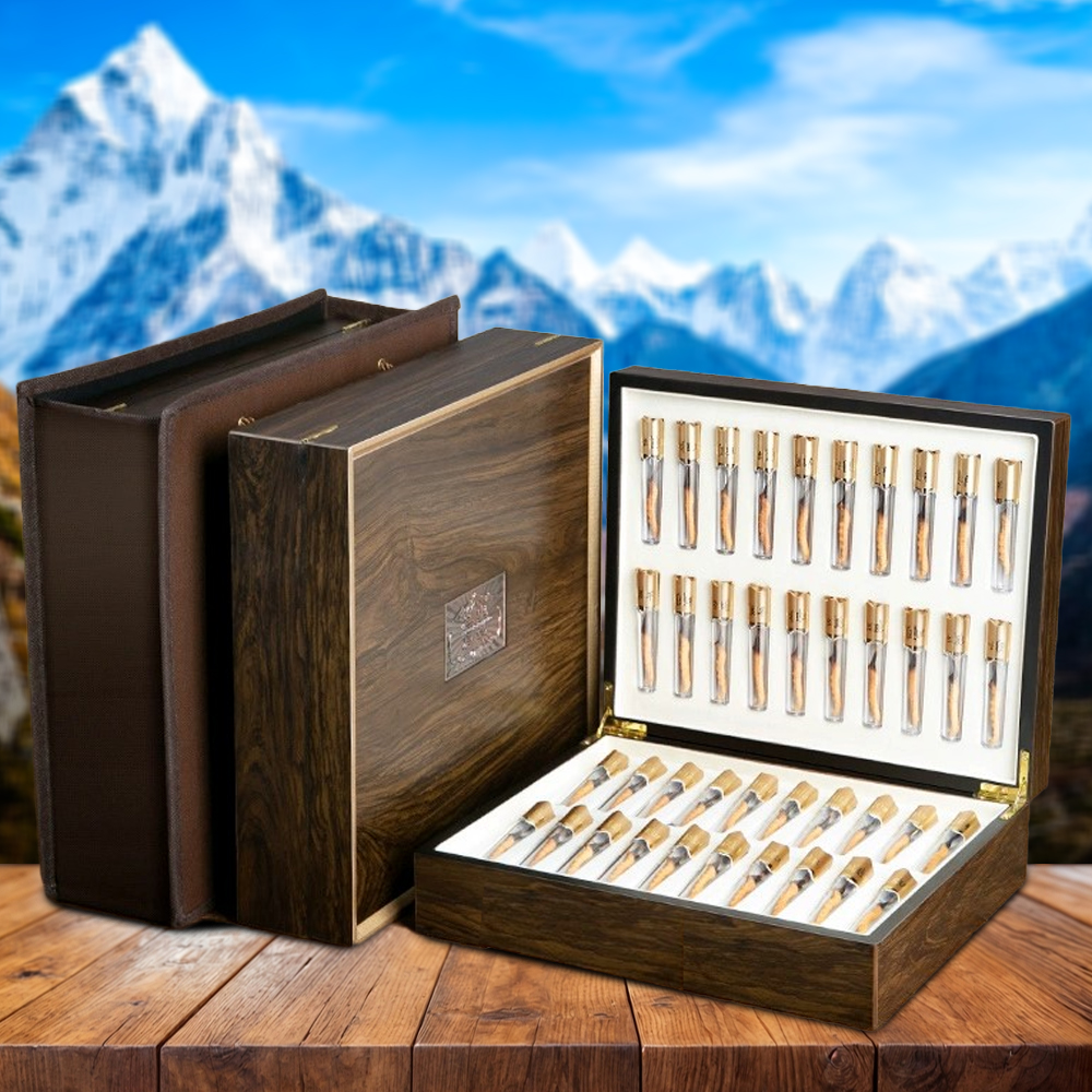 Đông Trùng Hạ Thảo Nepal Loại VIP1 Hộp 20g Size200