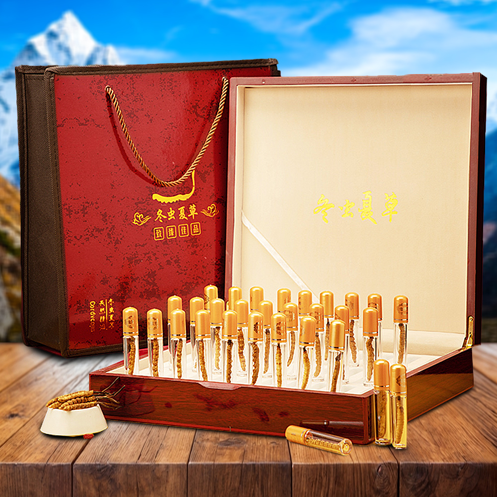 Đông Trùng Hạ Thảo Nepal Loại VIP1 Hộp 20g Size300