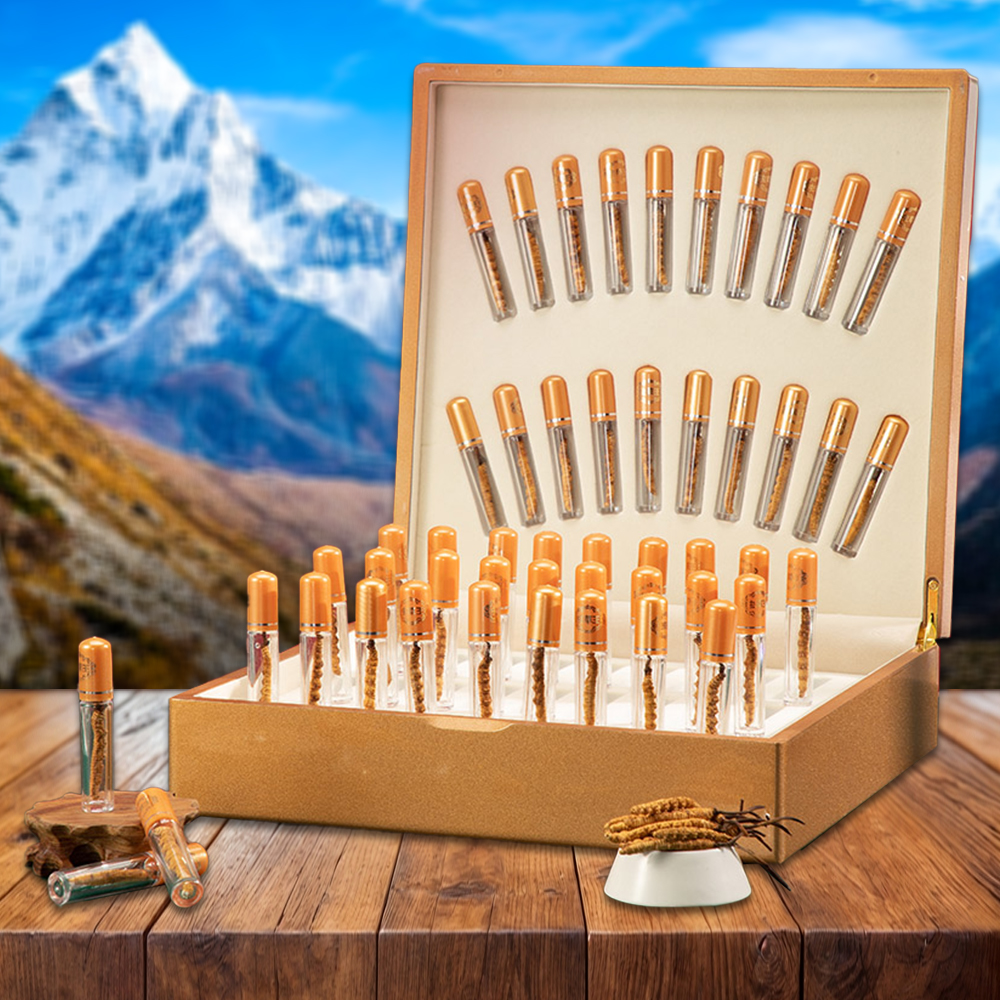 Đông Trùng Hạ Thảo Nepal Loại VIP1 Hộp 20g Size400