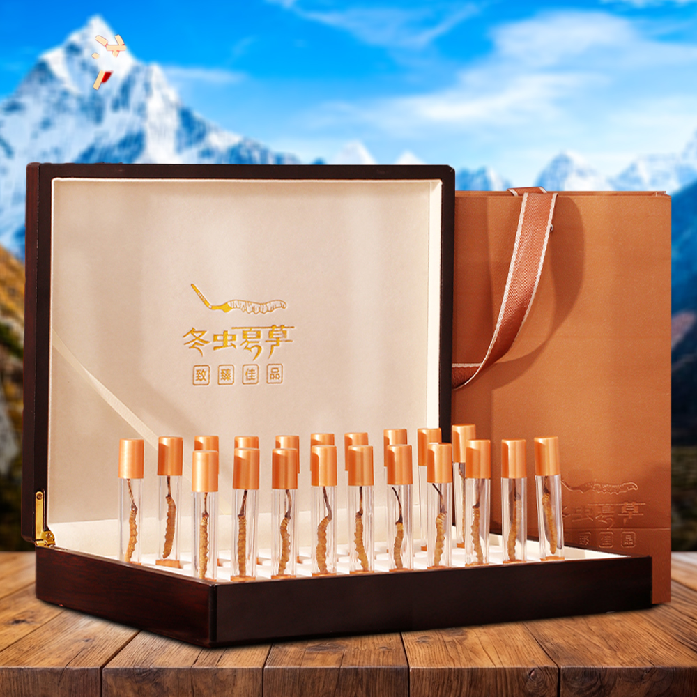 Đông Trùng Hạ Thảo Nepal Loại VIP1 Hộp 50g Size200