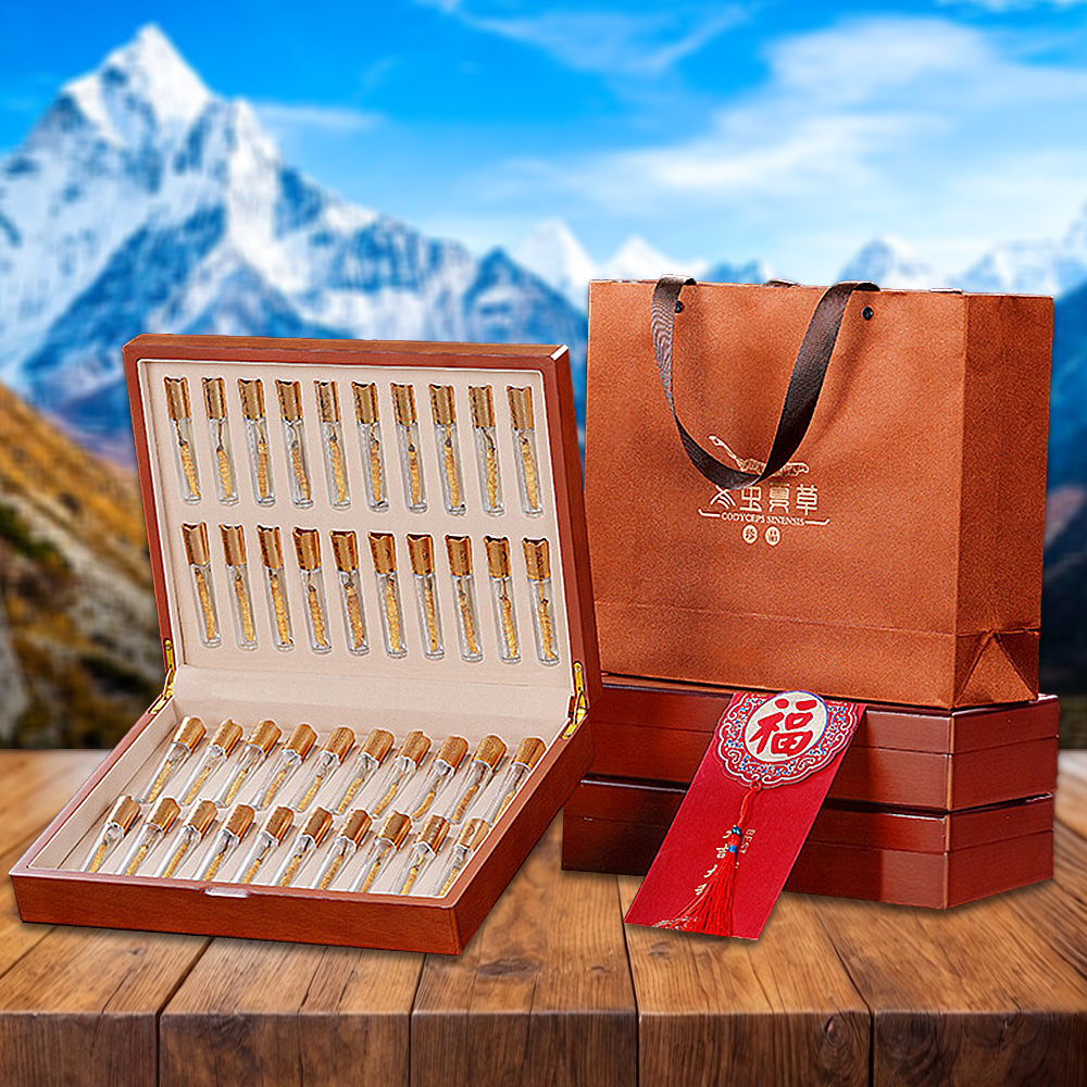 Đông Trùng Hạ Thảo Nepal Loại VIP1 Hộp 50g Size300