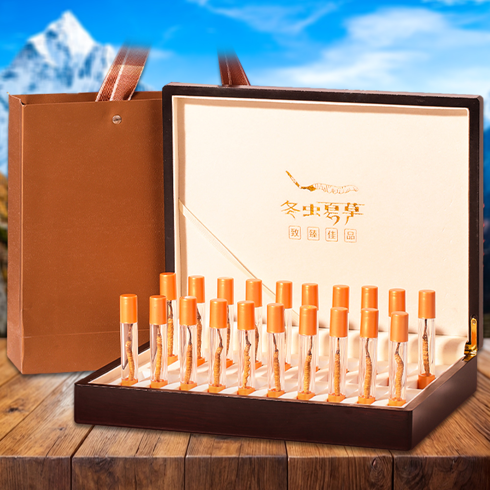 Đông Trùng Hạ Thảo Nepal Loại VIP1 Hộp 50g Size500