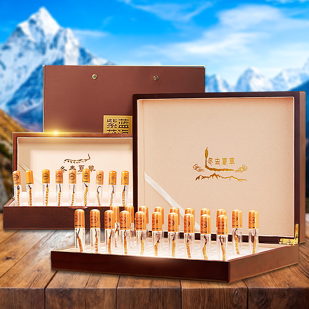 Đông Trùng Hạ Thảo Nepal Loại VIP1 Hộp 5g Size400