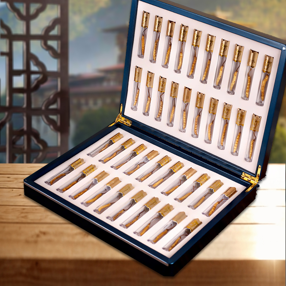 Đông Trùng Hạ Thảo BHUTAN Loại VIP1 Hộp 100g Size300