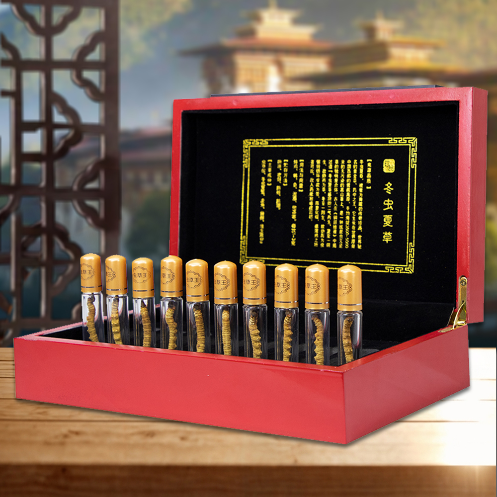 Đông Trùng Hạ Thảo BHUTAN Loại VIP1 Hộp 100g Size400