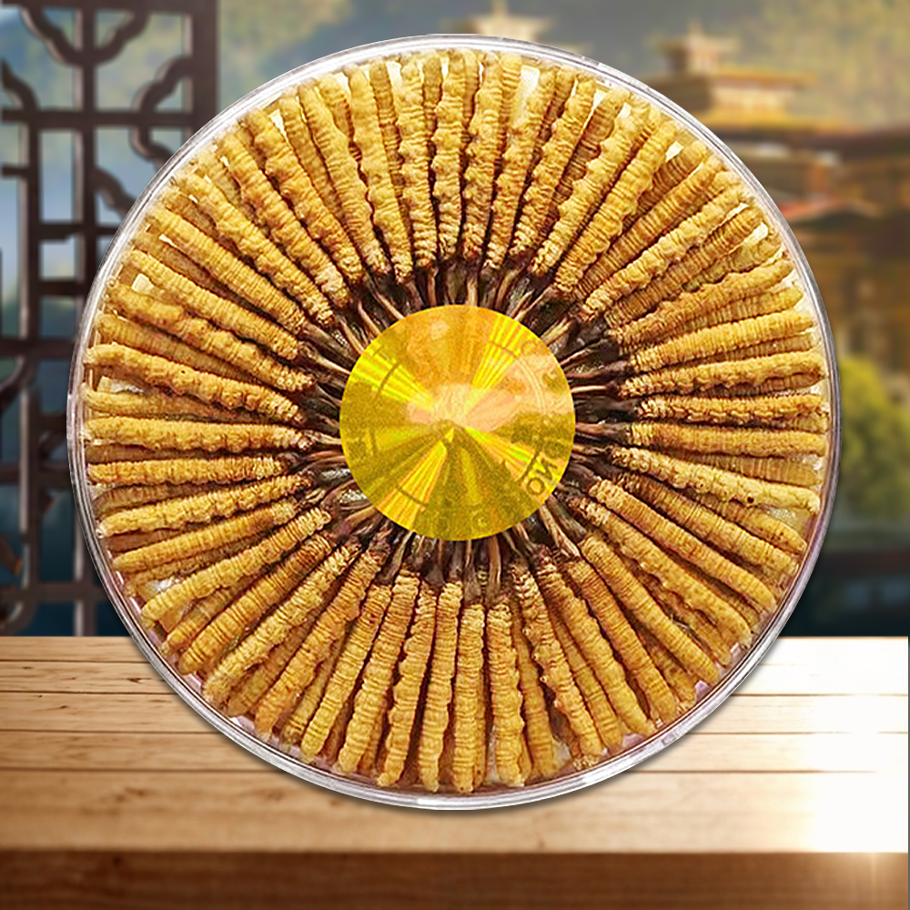 Đông Trùng Hạ Thảo BHUTAN Loại VIP1 Hộp 100g Size500