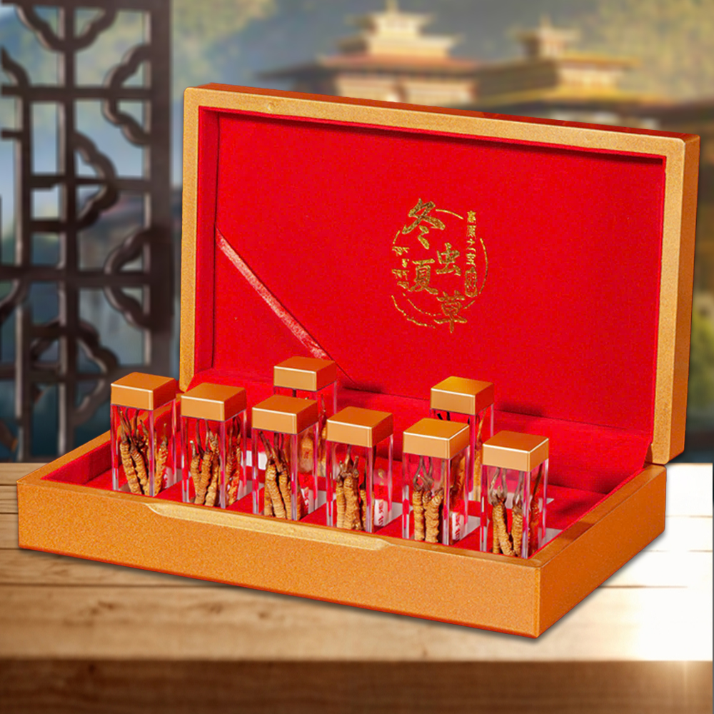 Đông Trùng Hạ Thảo BHUTAN Loại VIP1 Hộp 10g Size300