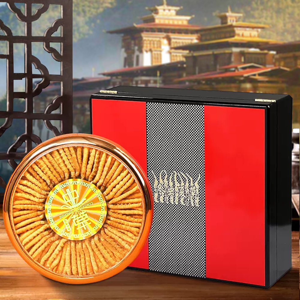 Đông Trùng Hạ Thảo BHUTAN Loại VIP1 Hộp 50g Size200