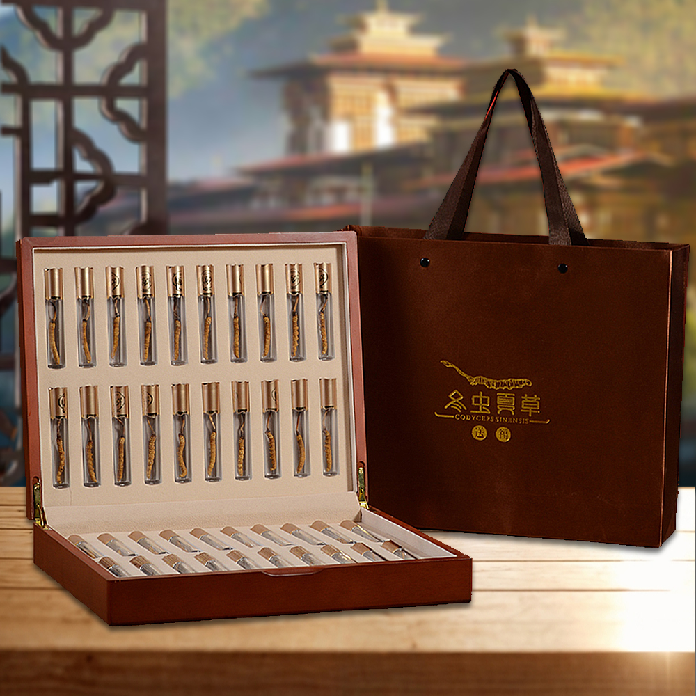 Đông Trùng Hạ Thảo BHUTAN Loại VIP1 Hộp 50g Size500