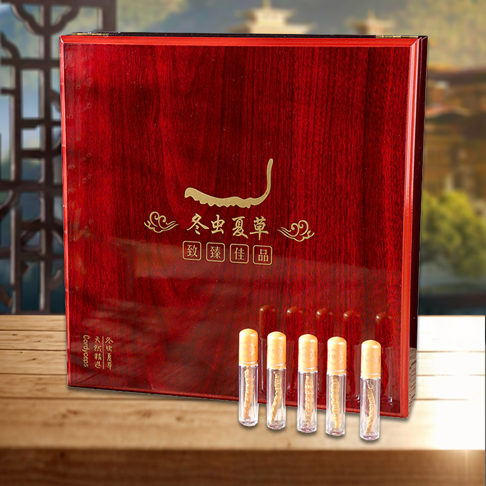Đông Trùng Hạ Thảo BHUTAN Loại VIP1 Hộp 5g Size300