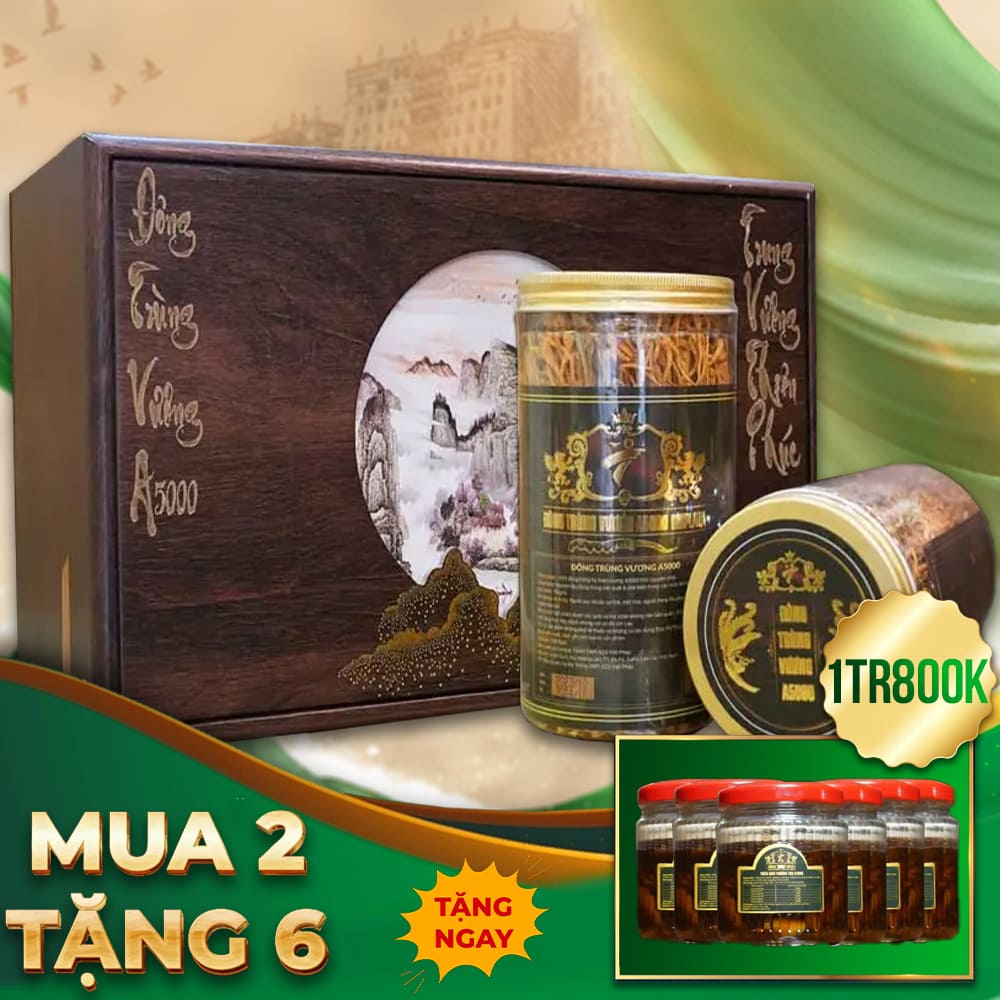 Hộp Đông Trùng Hạ Thảo Đế Vương Cao Cấp A5000 D231