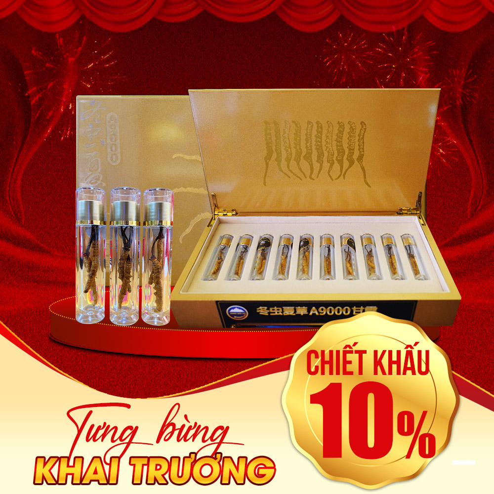 Con Đông Trùng Hạ Thảo Tự Nhiên VIP 5g/hộp D400-5V1