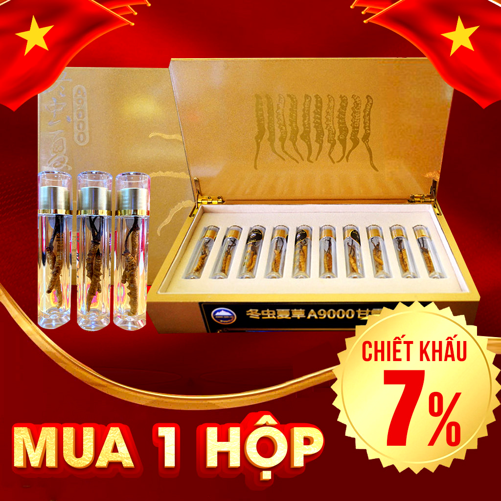 Con Đông Trùng Hạ Thảo Tự Nhiên VIP 5g/hộp D400-5V1